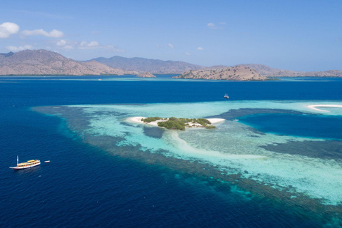 Full Day Trip Highlight of Komodo Archipelago