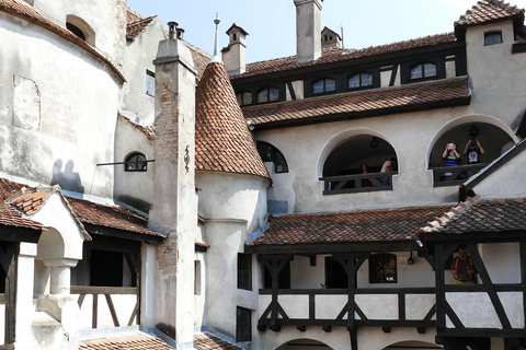 Bran Castle Small-Group Day Tour from Brașov | Local Guide