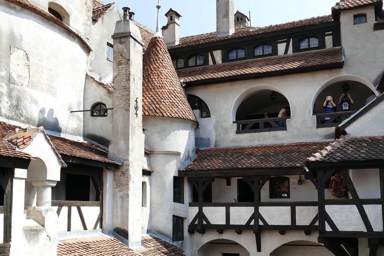 Bran Castle Small-Group Day Tour from Brașov | Local Guide