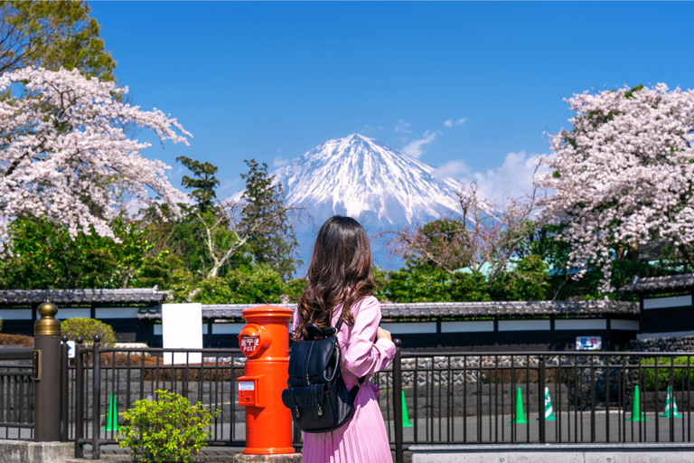 Tokyo Full Day Private Sightseeing Tour with English Driver