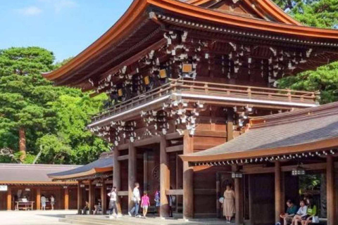 Tokyo City Private Day Tour By English Speaking Driver