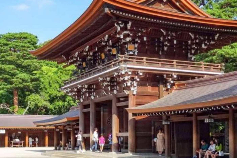 Tokyo City Private Day Tour By English Speaking Driver
