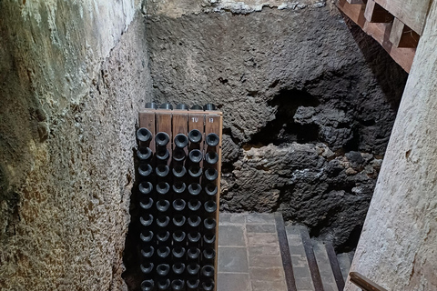 Valencia: tour dei vigneti, degustazione di vini locali e aperitivoValencia: tour dei vigneti, degustazione di vini locali e stuzzichini