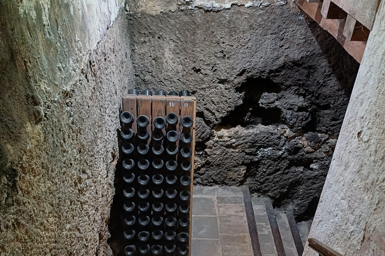 Valencia: tour dei vigneti, degustazione di vini locali e aperitivoValencia: tour dei vigneti, degustazione di vini locali e stuzzichini