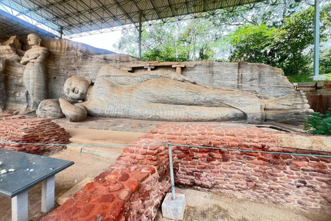Pasikudah: Polonnaruwa Ancient city tour