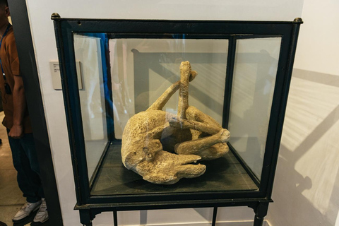 From Naples: Pompeii Shore Excursion for Cruisers with Guide From Pompeii: Guided Tour + Entry Ticket