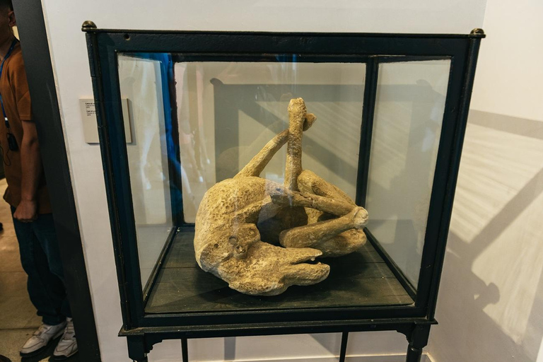 From Naples: Pompeii Shore Excursion for Cruisers with Guide From Pompeii: Guided Tour + Entry Ticket