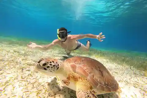 Excursion FRANCOPHONE inoubliable Cozumel El Cielo et tortue