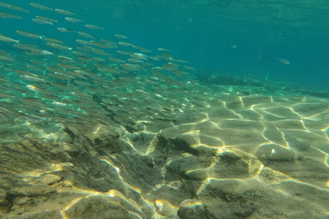 Heraklion: Scuba Diving Experience for Beginners Scuba diving course - without transfer