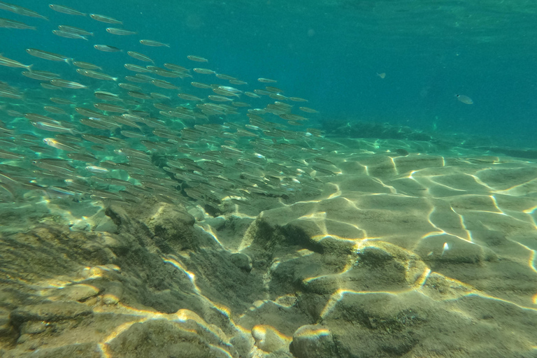 Heraklion: Scuba Diving Experience for Beginners Scuba diving course - without transfer