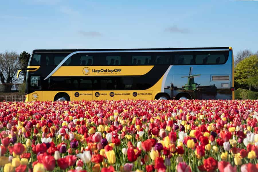 Amsterdam: Bustransfer Keukenhof & Tulpenfelder (nur Bus). Foto: GetYourGuide
