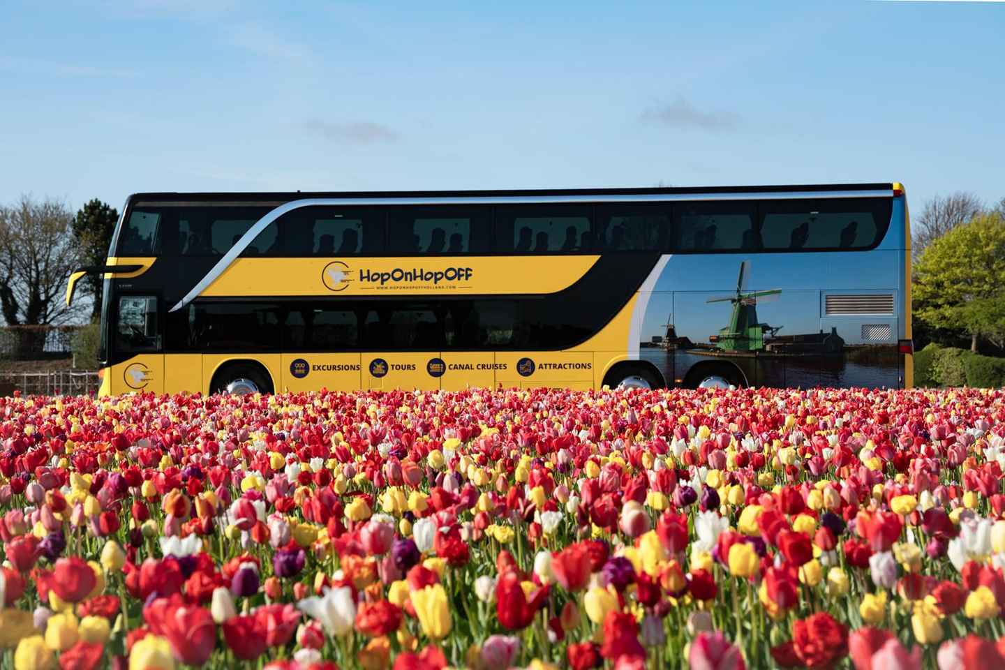 Ámsterdam: Traslado en autobús a Keukenhof y campos de tulipanes