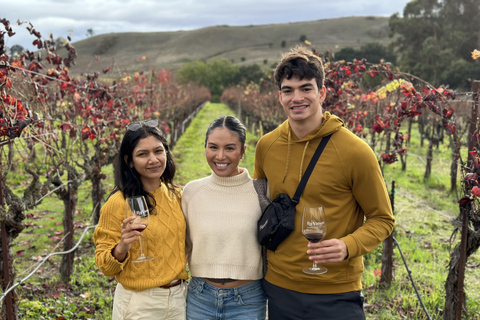 San Francisco: Muir Woods, Napa & Sonoma Valley Wine Tour Shared Tour with Lunch