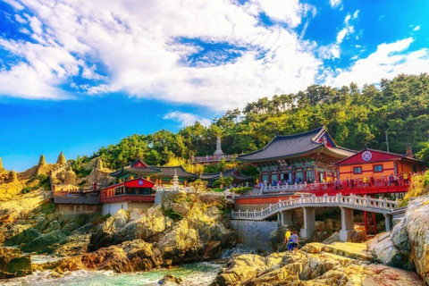 Busan Private Cultural&Coastal Tour with Sunset Yacht Cruise