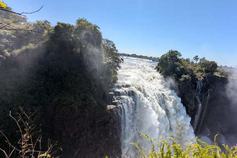 Victoria Falls: Historic Town Tour, Big Tree & Guided Walk