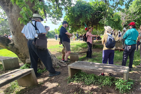 Oaxaca: Odkryj Monte Albán i targi w OaxacaOaxaca: Odkryj Monte Albán i smaki targowisk