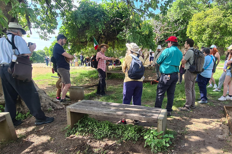 Oaxaca: Odkryj Monte Albán i targi w OaxacaOaxaca: Odkryj Monte Albán i smaki targowisk