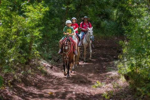 Horseback Riding to the Chorreas and Victoria Waterfalls