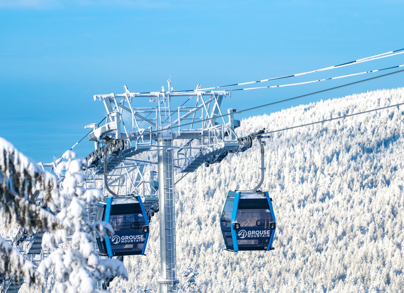 Adgangsbillet til Grouse Mountain Skyride