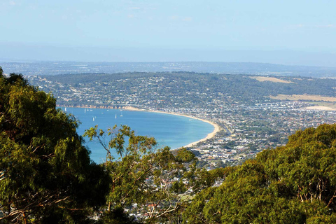 Melbourne: Mornington Peninsula Hot Springs en wijnmakerij tour