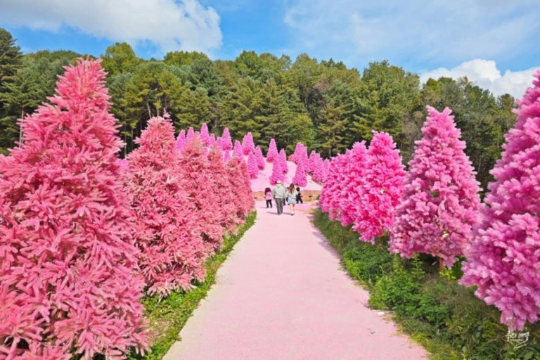 From Seoul: Full-Day Trip to Pocheon`s Nature Attractions Meeting Point: Hongik Univ. Station Exit No.8