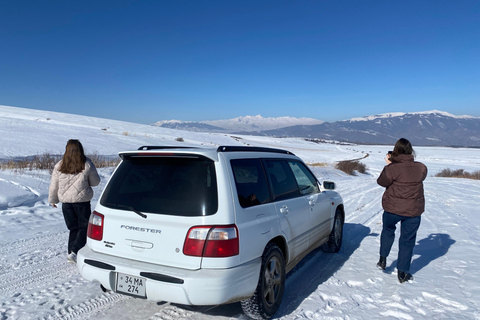 阿拉加茨山全天雪地体验之旅（含导游）