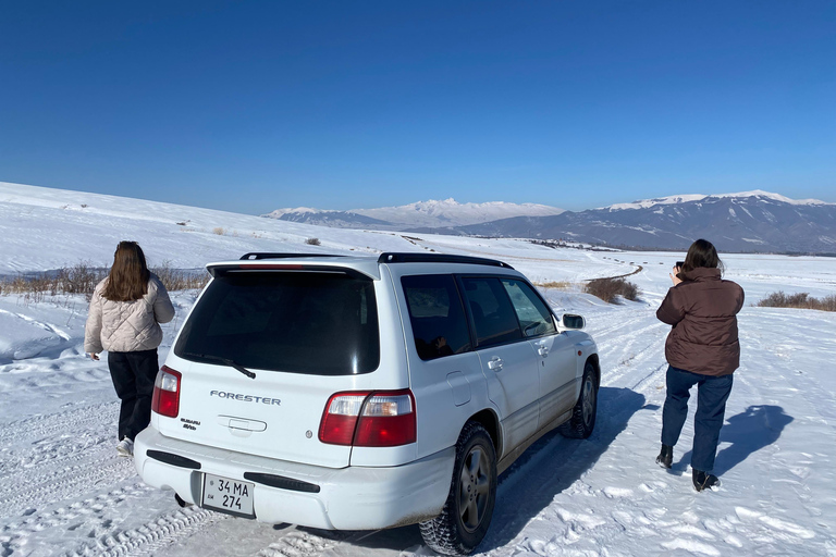 阿拉加茨山全天雪地体验之旅（含导游）