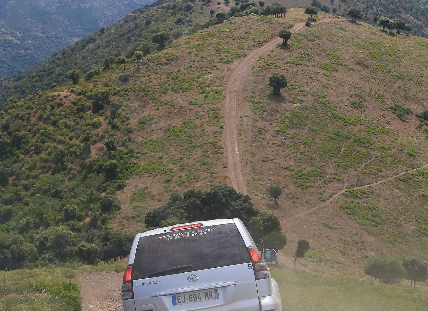Calvi: Asco Valley 4x4 dagstur med guide