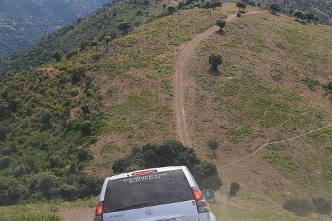 Calvi: Asco Valley 4x4 Day Tour with Guide
