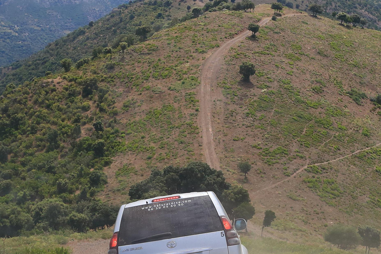 Calvi: Asco Valley 4x4 Day Tour with Guide
