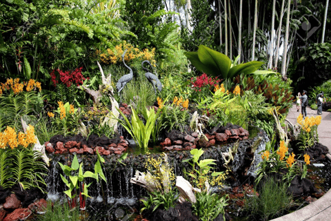 Singapore: National Orchid Garden Admission