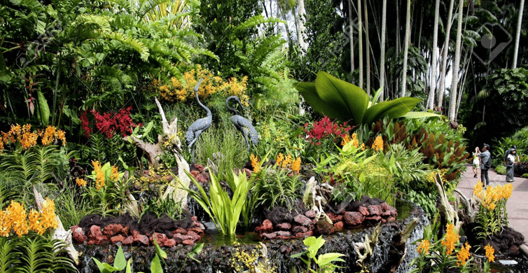 Singapore: National Orchid Garden Admission photo 4