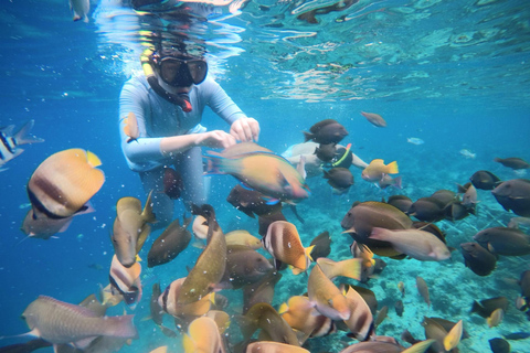 Gili Eilanden: Snorkel privé rondvaart met lokale gidsGroepsreis deluxe met trefpunt Gili Trawangan