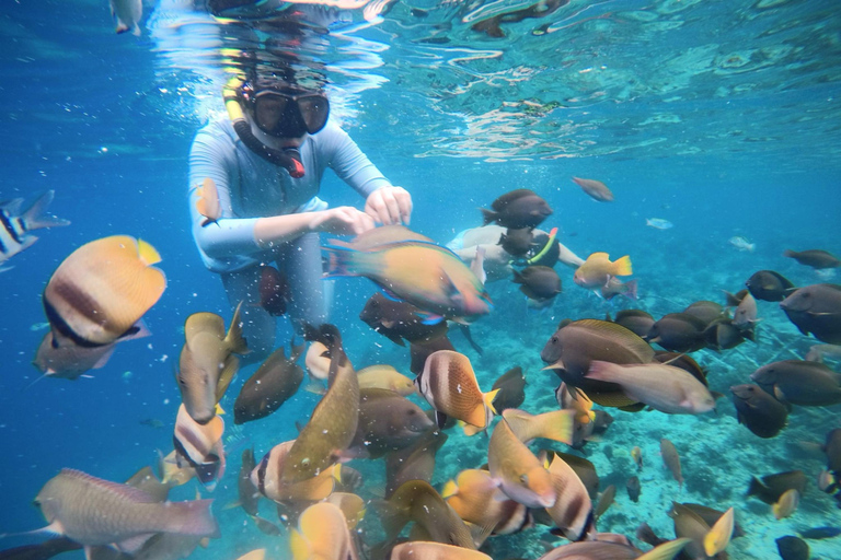 Gili Eilanden: Snorkel privé rondvaart met lokale gidsGroepsreis deluxe met trefpunt Gili Trawangan