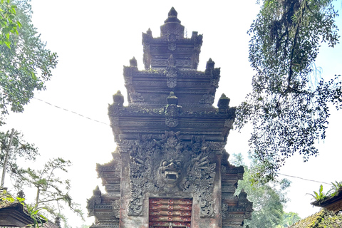 Ubud Waterfall, Temple, Rice Terrace & Art with Transfers