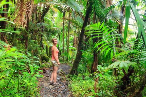 St Kitts: excursión al volcán y excursión turística