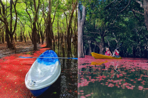 From Sigiriya: Kayaking Through Floating Flowers at Kanthale