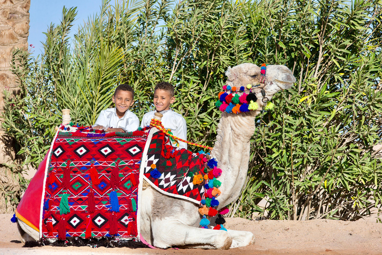 Hurghada: Camel Ride, Blue Lagoon, BBQ, and Stargazing Hurghada: Camel Ride, Blue Lagoon, BBQ, and Stargazing