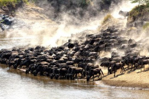 Nairobi: Masai Mara 3-Day Safari with Meals and Guide 3 Days 2 Nights Mara Joining Cruiser Accommodation Upgrade