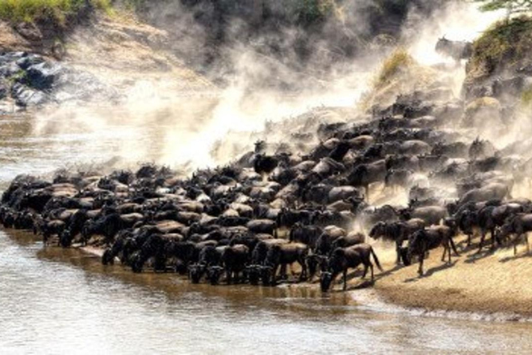 Nairobi: Masai Mara 3-Day Safari with Meals and Guide 3 Days 2 Nights Mara Joining Cruiser Accommodation Upgrade