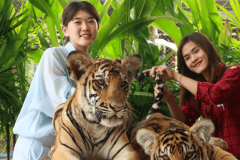 Pattaya dagtour met privétour vanuit Bangkok / Pattaya10 uur / Bestelwagen / 1 dag / Ophalen Bangkok / Afzetten Bangkok