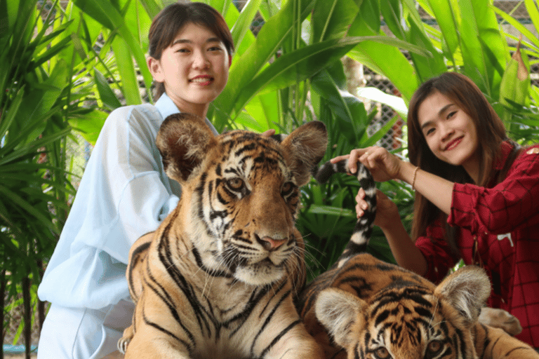 Pattaya dagtour met privétour vanuit Bangkok / Pattaya10 uur / Bestelwagen / 1 dag / Ophalen Bangkok / Afzetten Bangkok