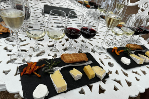 Cape Town: Journey Through South Africa’s Wine Paradise