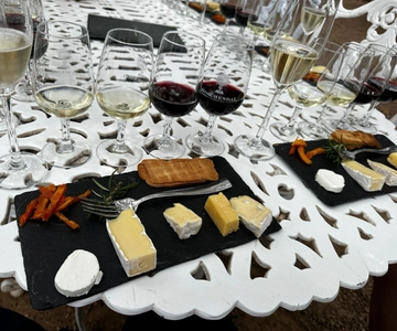 Cape Town: Journey Through South Africa’s Wine Paradise