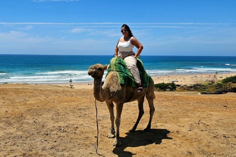 Z Costa del Sol: prywatna wycieczka do Tangeru, Tetuanu lub AsilahPrywatna wycieczka po Tangerze