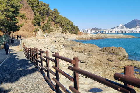Busan Igidae Coastal Walk & Korean Pancake Experience Wednesday Afternoon Schedule (2 PM Start)