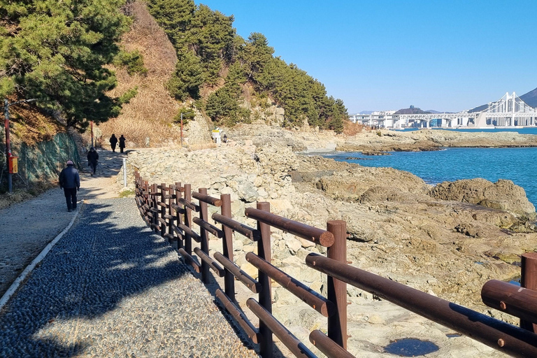 Busan Igidae Coastal Walk & Korean Pancake Experience Wednesday Afternoon Schedule (2 PM Start)