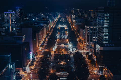 Sapporo: Illuminated Landmarks and TV Tower Night View Tour