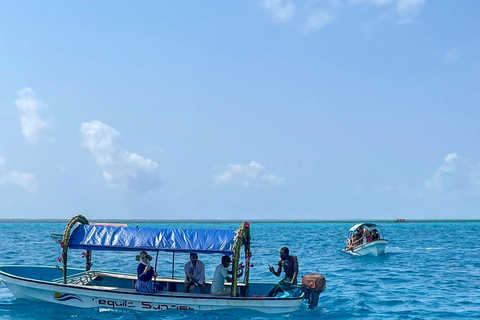 Zanzibar: Mnemba Blue Safari i spotkanie z delfinamiMnemba: delfiny i rafa – wycieczka grupowa