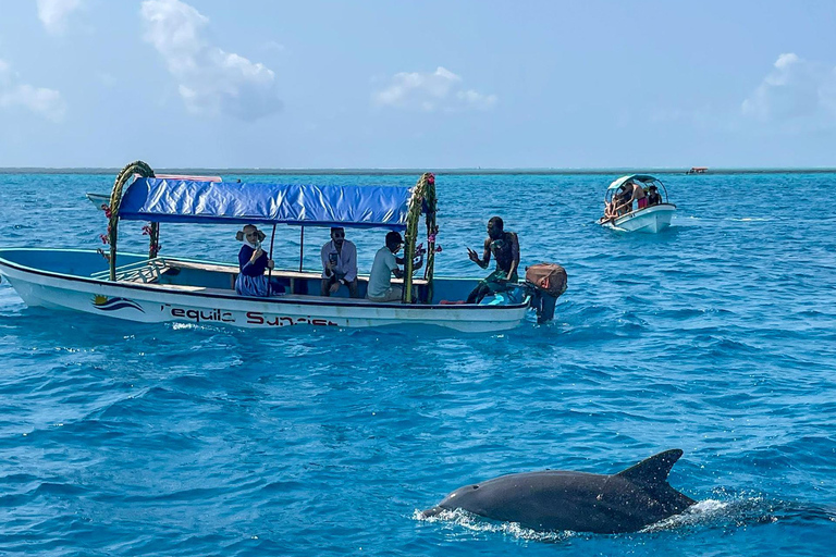 Zanzibar: Mnemba Blue Safari i spotkanie z delfinamiMnemba: delfiny i rafa – wycieczka grupowa